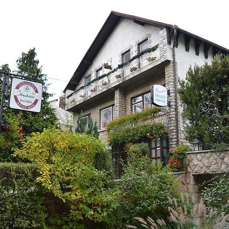 Muskatli Panzio Bed & Breakfast Gyor Ngoại thất bức ảnh