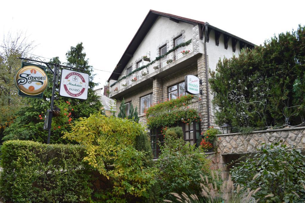 Muskatli Panzio Bed & Breakfast Gyor Ngoại thất bức ảnh