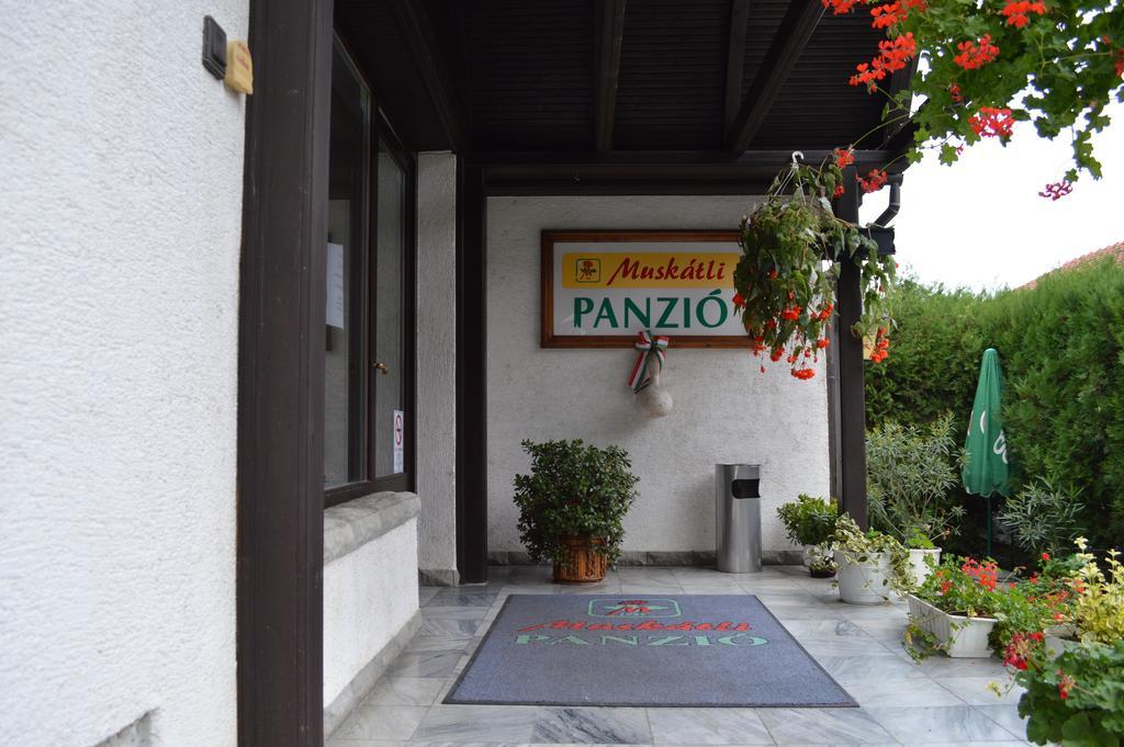 Muskatli Panzio Bed & Breakfast Gyor Ngoại thất bức ảnh