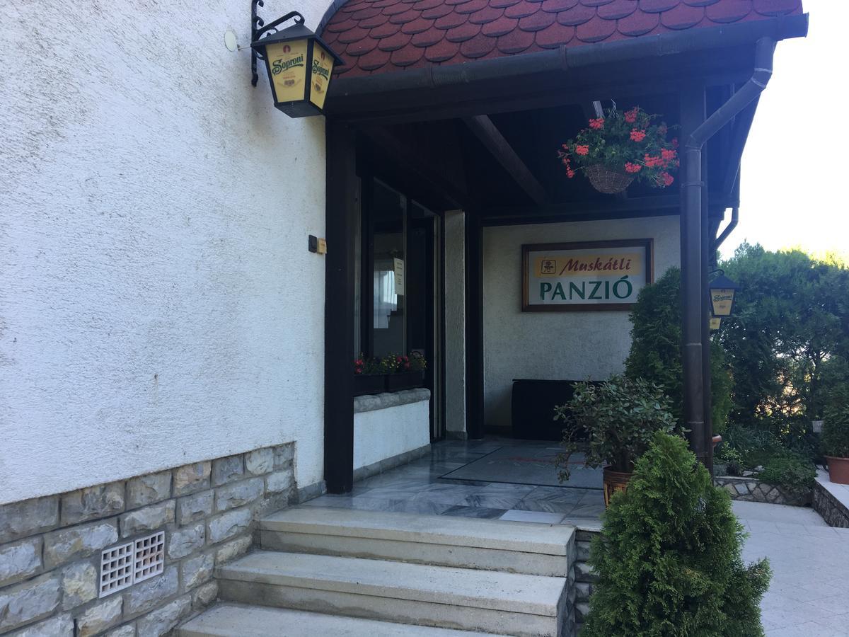 Muskatli Panzio Bed & Breakfast Gyor Ngoại thất bức ảnh